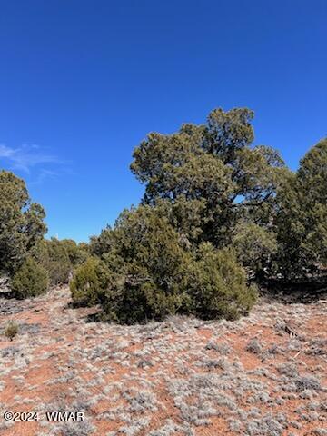 Lot 35 Backward C Road Clay Springs, AZ 85923 - Photo 14 of 22