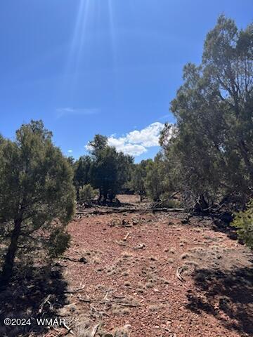 Lot 35 Backward C Road Clay Springs, AZ 85923 - Photo 15 of 22