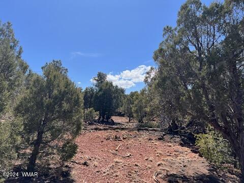 Lot 35 Backward C Road Clay Springs, AZ 85923 - Photo 16 of 22