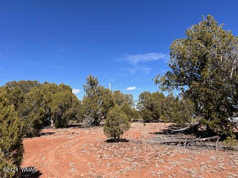 Lot 35 Backward C Road Clay Springs, AZ 85923 - Photo 17 of 22