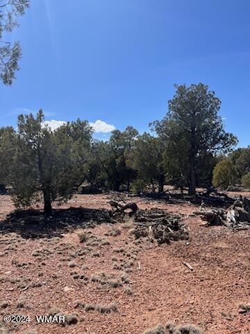 Lot 35 Backward C Road Clay Springs, AZ 85923 - Photo 2 of 22