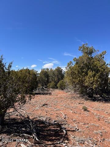 Lot 35 Backward C Road Clay Springs, AZ 85923 - Photo 3 of 22