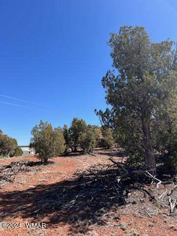 Lot 35 Backward C Road Clay Springs, AZ 85923 - Photo 4 of 22