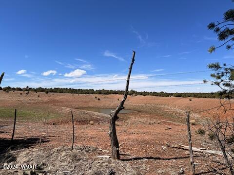 Lot 35 Backward C Road Clay Springs, AZ 85923 - Photo 9 of 22