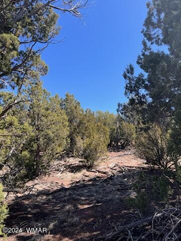 Lot 35 Backward C Road Clay Springs, AZ 85923 - Photo 10 of 22