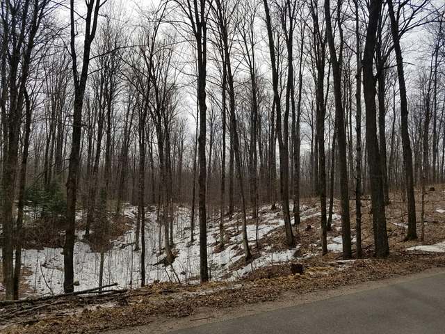 21-acres East Silver Lake Road Laona, WI 54541 - Photo 2 of 10 Gallery Image 2