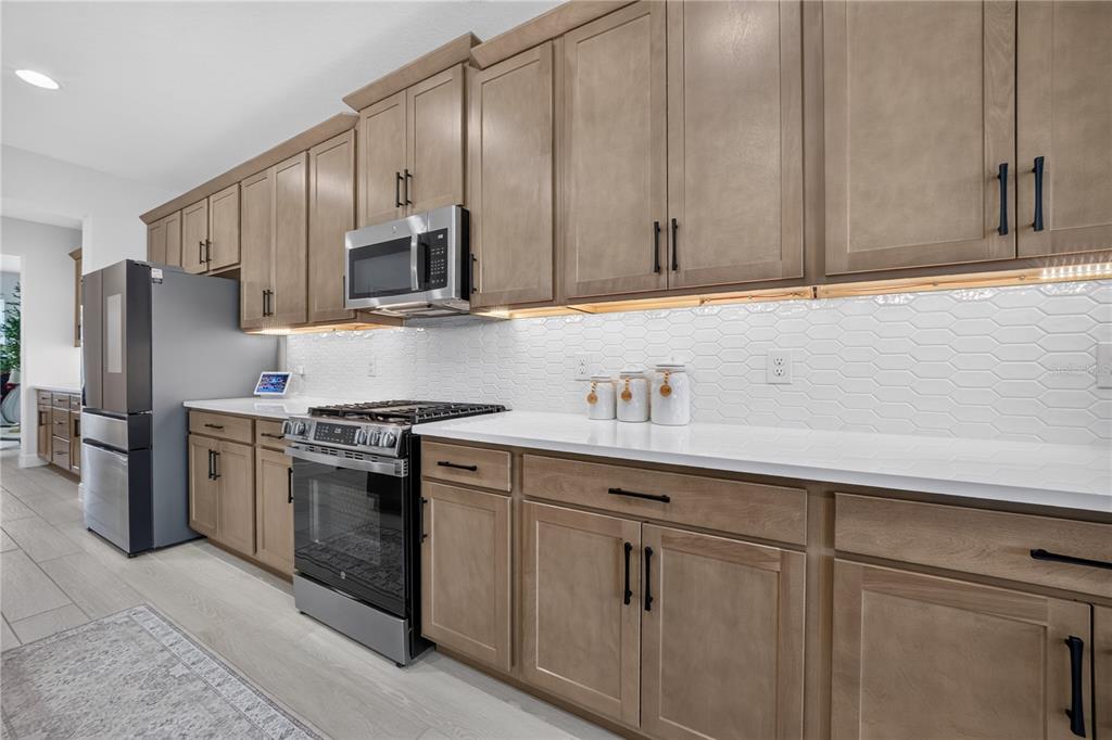 5277 Obsidian Gate Road Mount Dora, FL 32757 - Photo 12 of 54 Gallery Image 12