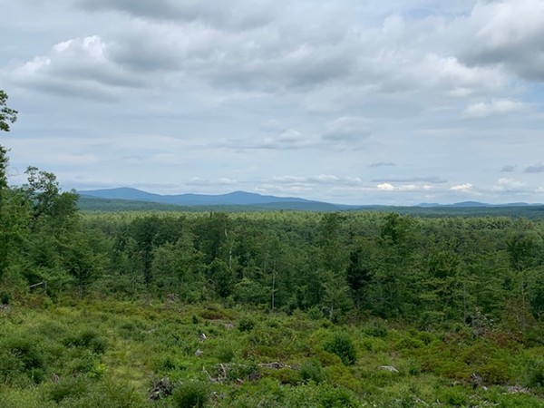 0 Starch Mill Road Mason, NH 03048 - Photo 5 of 7 a view of a green field with lots of trees