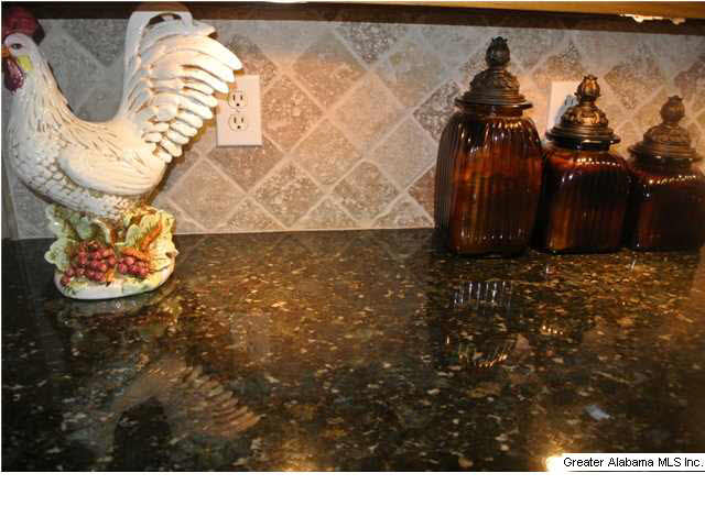 7518 Aspen Ridge Drive Pinson, AL 35126 - Photo 20 of 32