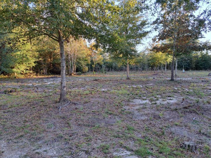 1888 Williston Road Aiken, SC 29803 - Photo 24 of 30 Gallery Image 24