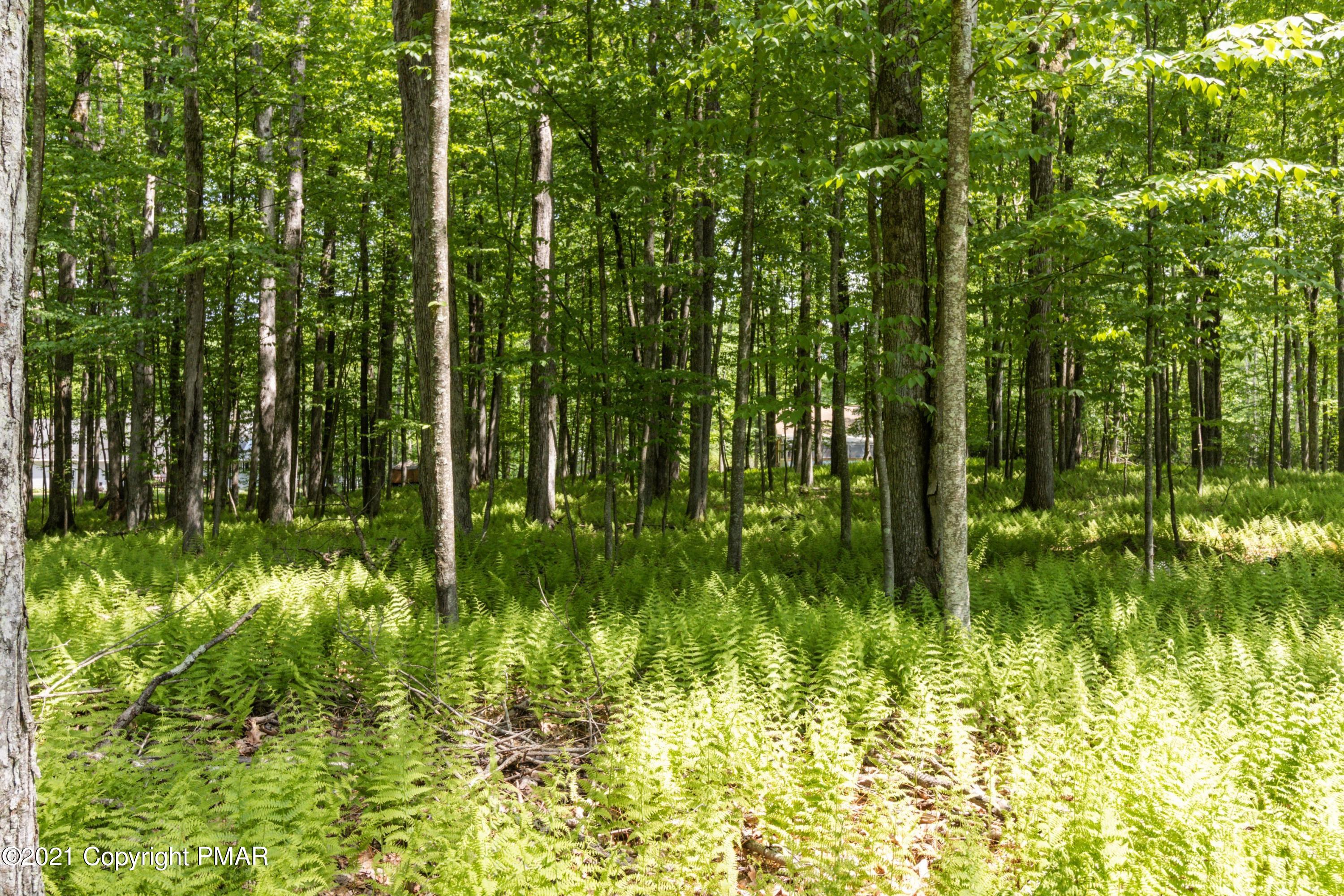 301 Old Ford Road White Haven, PA 18661 - Photo 13 of 22 a backyard of a house with lots of green space and garden