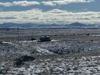 a view of a dry yard