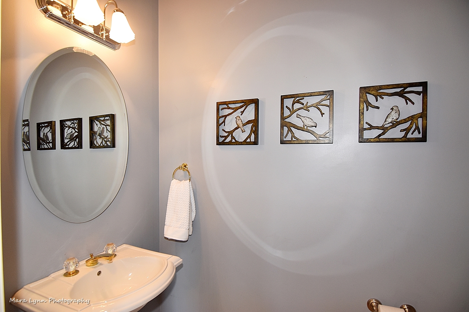 37W200 Red Gate Road St. Charles, IL 60175 - Photo 18 of 47 a bathroom with a toilet and a mirror