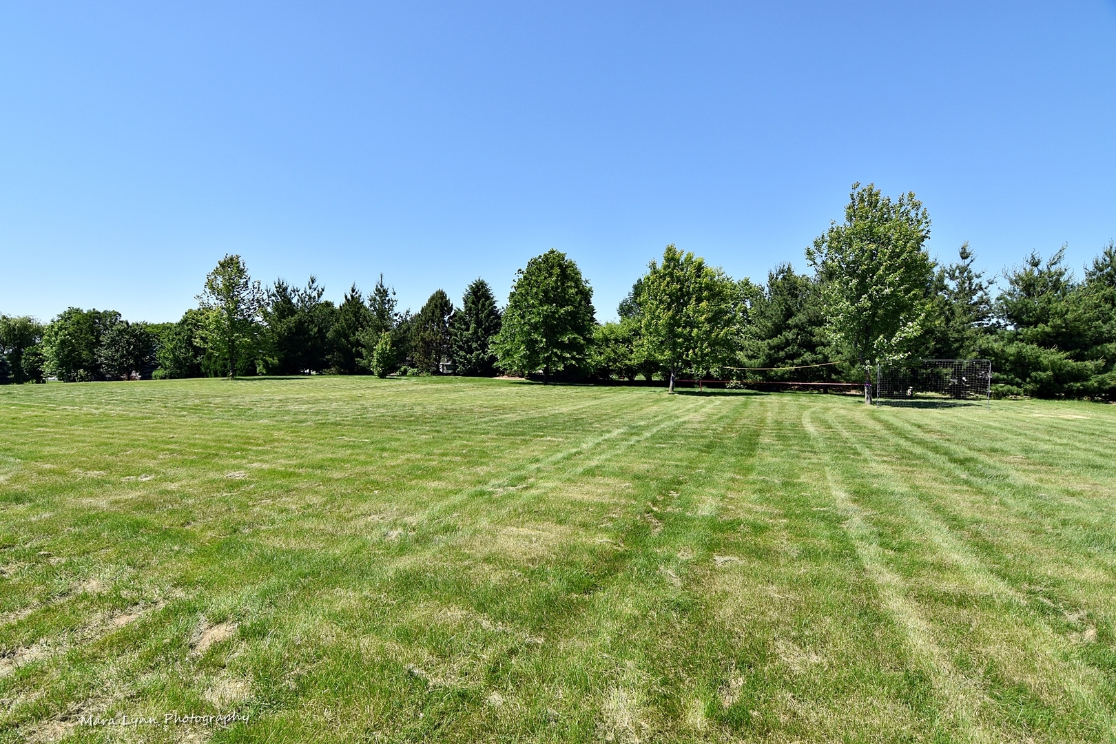 37W200 Red Gate Road St. Charles, IL 60175 - Photo 43 of 47 a view of a field with trees in the background