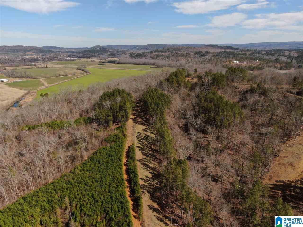 79 Highway 79 Cleveland, AL 35049 - Photo 3 of 36