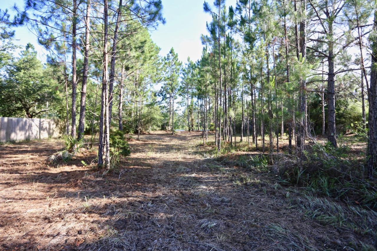 Lot 9 Slalom Way Santa Rosa Beach, FL 32459 - Photo 3 of 23 Gallery Image 3