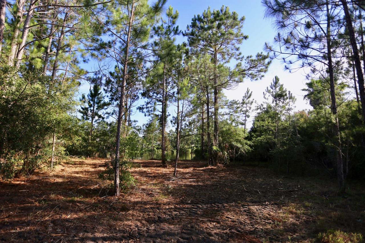 Lot 9 Slalom Way Santa Rosa Beach, FL 32459 - Photo 8 of 23 Gallery Image 8