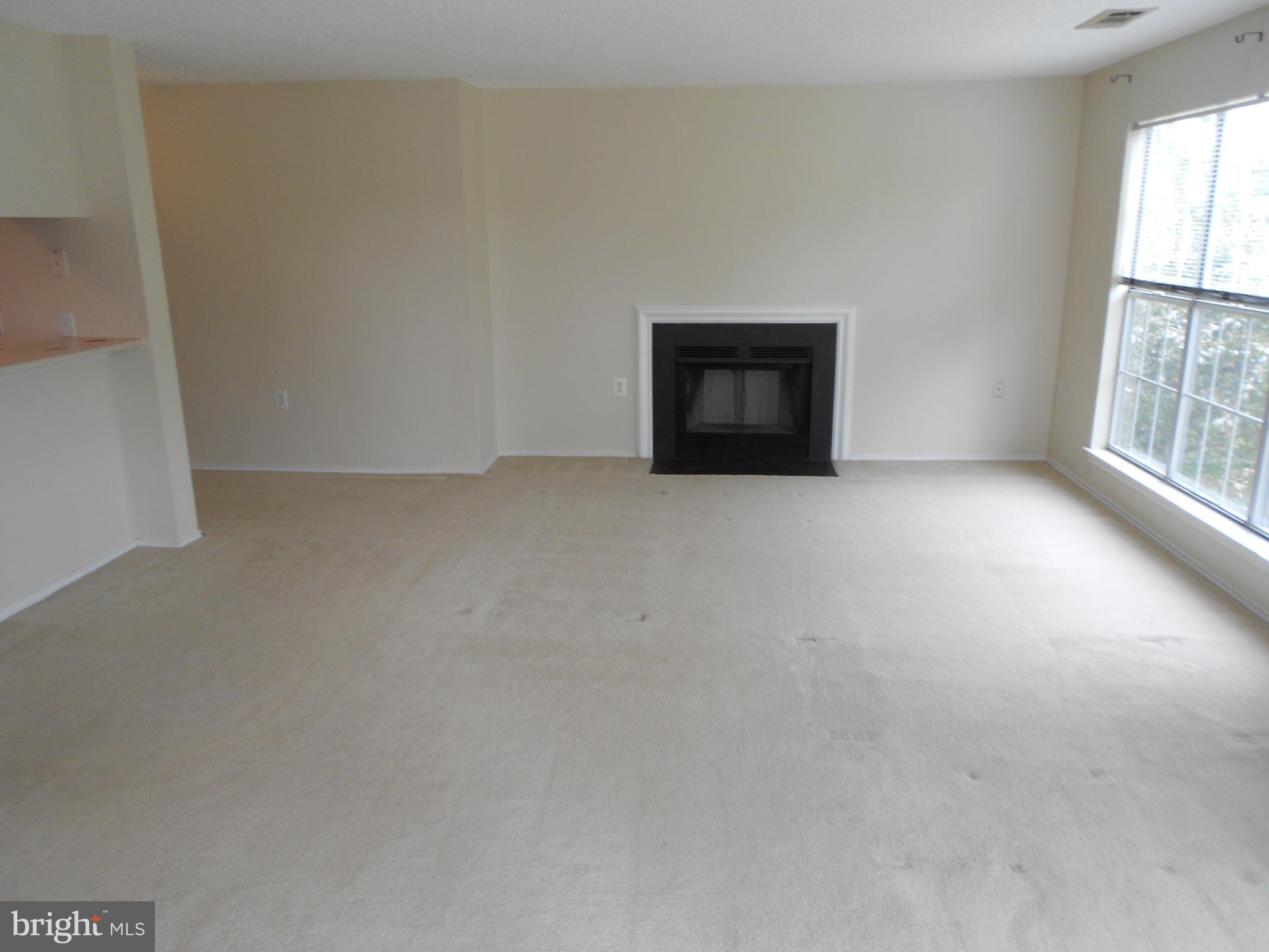 20950 Timber Ridge Terrace, Unit 203 Ashburn, VA 20147 - Photo 16 of 30 an empty room with windows and fireplace
