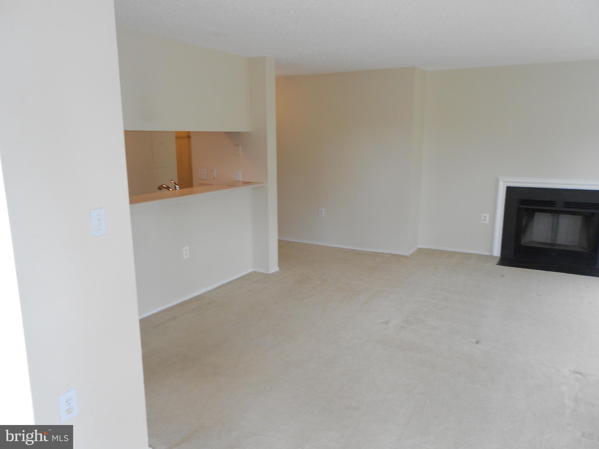 20950 Timber Ridge Terrace, Unit 203 Ashburn, VA 20147 - Photo 17 of 30 a view of an empty room and fire place