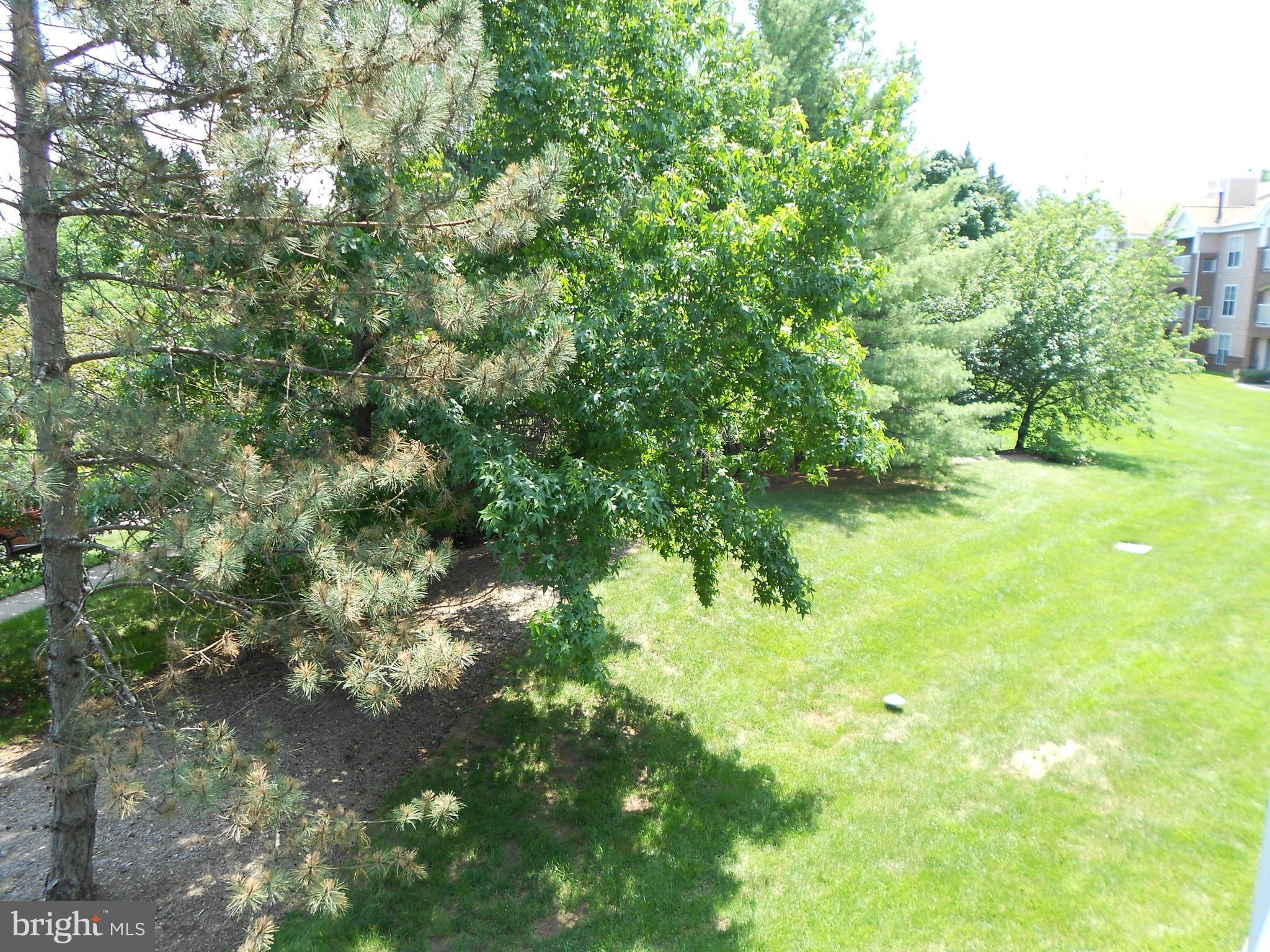20950 Timber Ridge Terrace, Unit 203 Ashburn, VA 20147 - Photo 24 of 30 a view of a yard