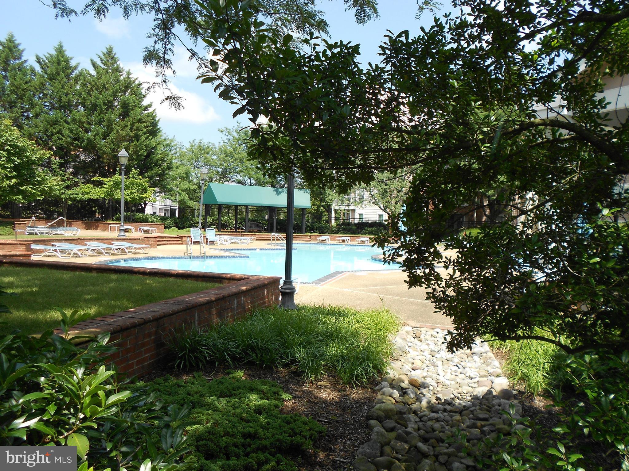 20950 Timber Ridge Terrace, Unit 203 Ashburn, VA 20147 - Photo 28 of 30 a view of a yard with plants and large trees