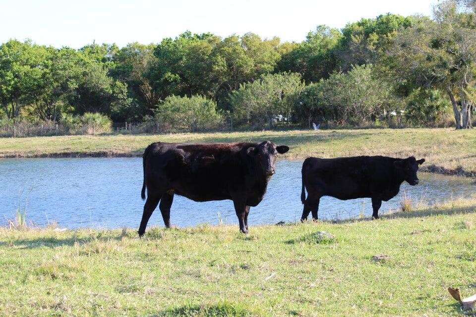 2410 South Brocksmith Road Fort Pierce, FL 34945 - Photo 42 of 65 Brocksmith 42