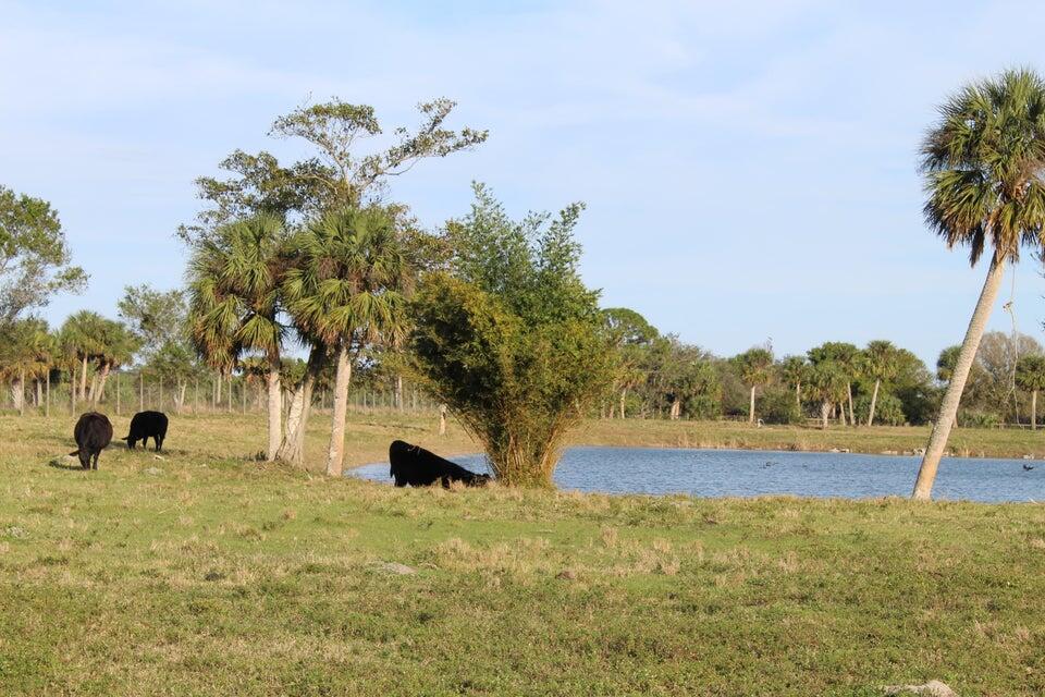 2410 South Brocksmith Road Fort Pierce, FL 34945 - Photo 44 of 65 Brocksmith 44