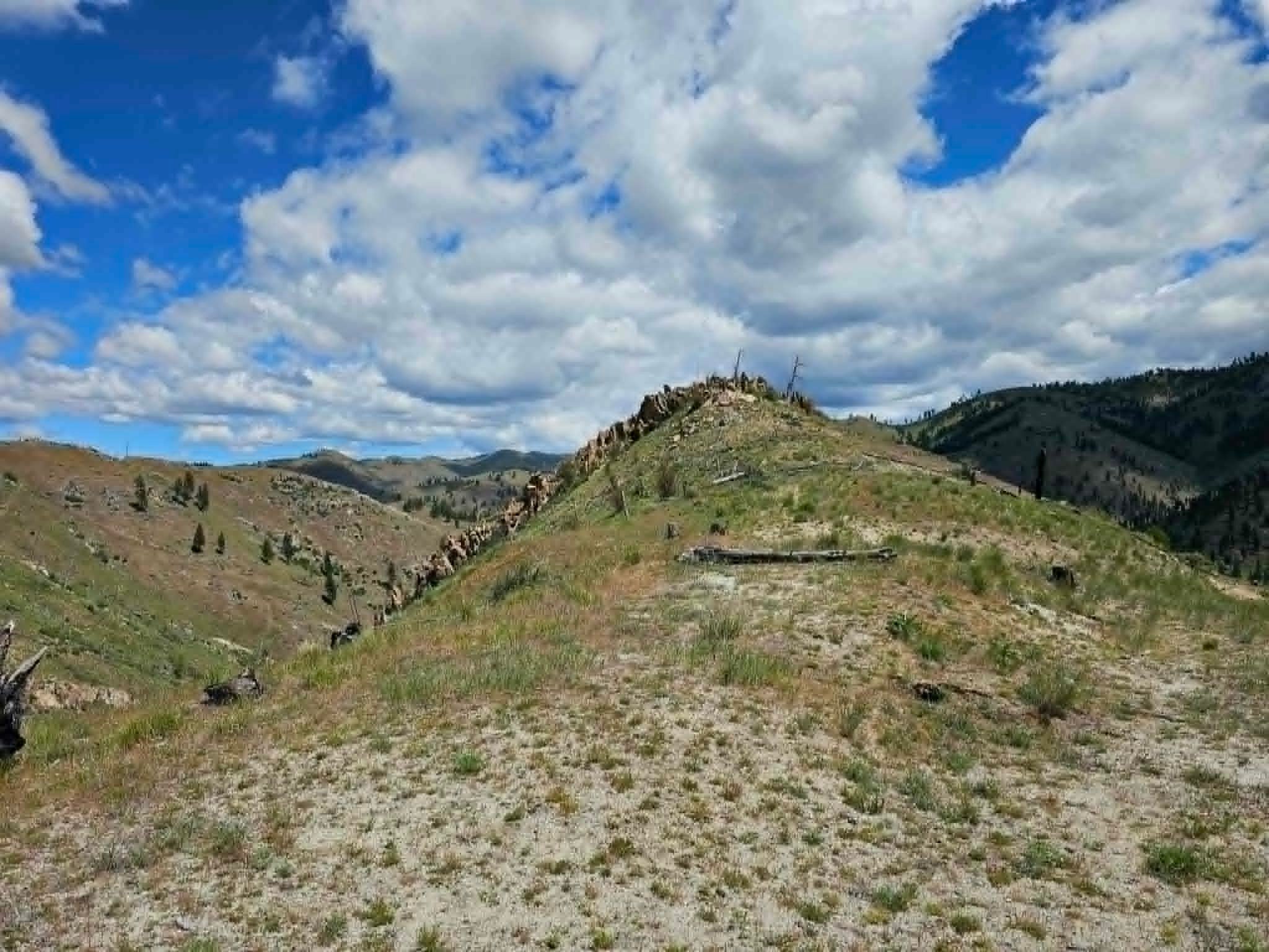 Nhn Blind Creek Draw Road Conner, MT 59827 - Photo 16 of 27 Gallery Image 16