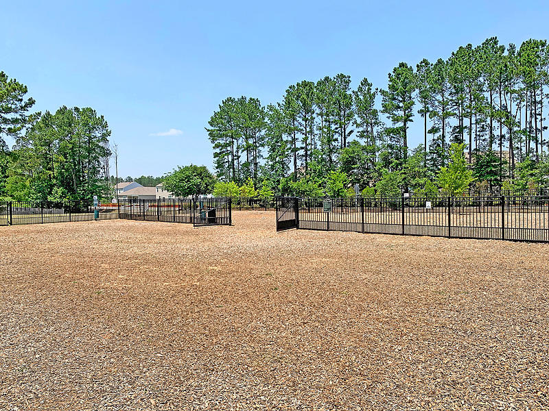 334 Knawl Road Moncks Corner, SC 29461 - Photo 44 of 47 IMG_0836-copy
