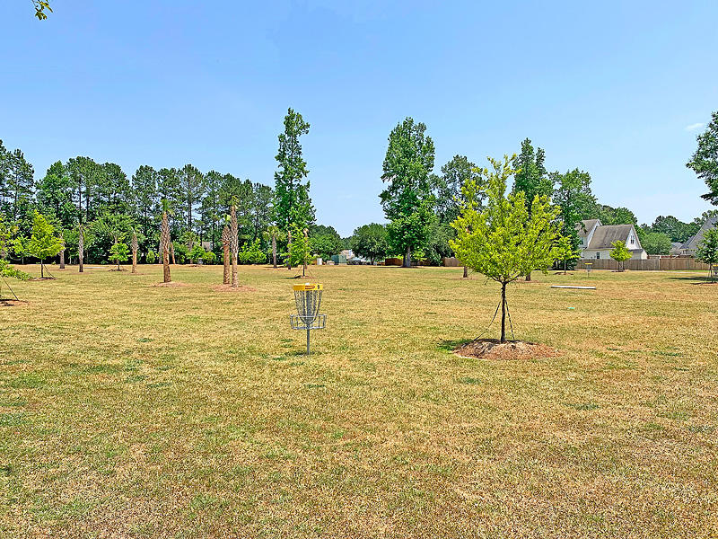 334 Knawl Road Moncks Corner, SC 29461 - Photo 46 of 47 IMG_0838-copy
