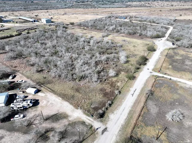 a view of a dry yard with trees