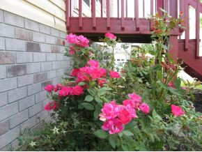577 Old Embreeville Road Jonesborough, TN 37659 - Photo 21 of 21 Roses Welcome Friends