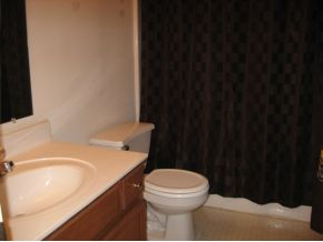 577 Old Embreeville Road Jonesborough, TN 37659 - Photo 7 of 21 Master bath