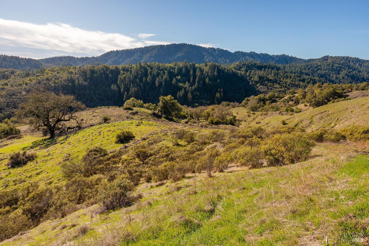 2365 Sweetwater Springs Road Healdsburg, CA 95448 - Photo 19 of 37