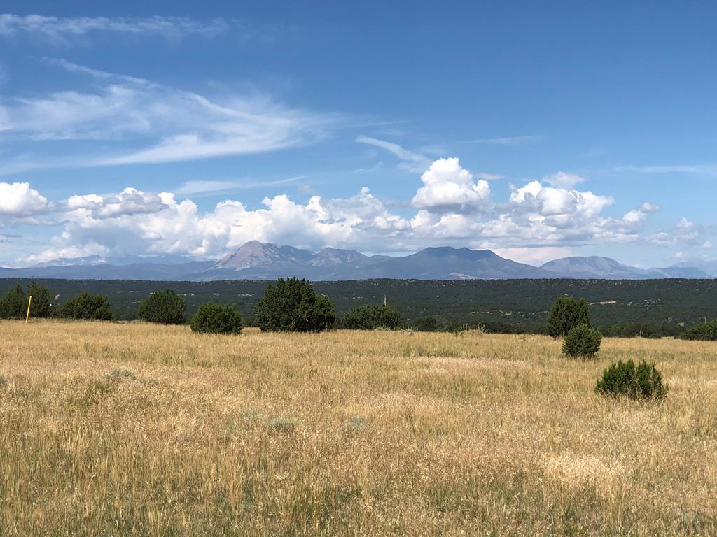 Lot 30 Silver Spur Road Walsenburg, CO 81089 - Photo 1 of 36 Gallery Image 1
