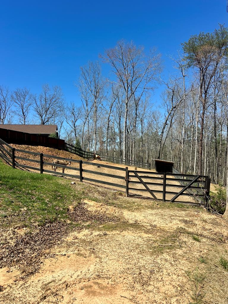 554 Tipton Springs Road Morganton, GA 30560 - Photo 49 of 74