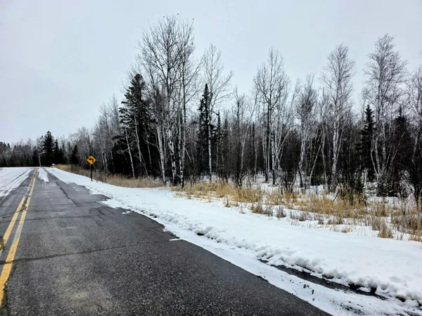 $17,000 | 91 County Road 91, International Falls, MN 56649