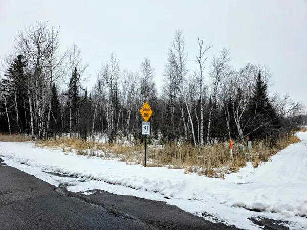 $17,000 | 91 County Road 91, International Falls, MN 56649