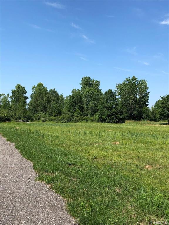0 Short Cut Road Marine City, MI 48039 - Photo 1 of 7 Gallery Image 1