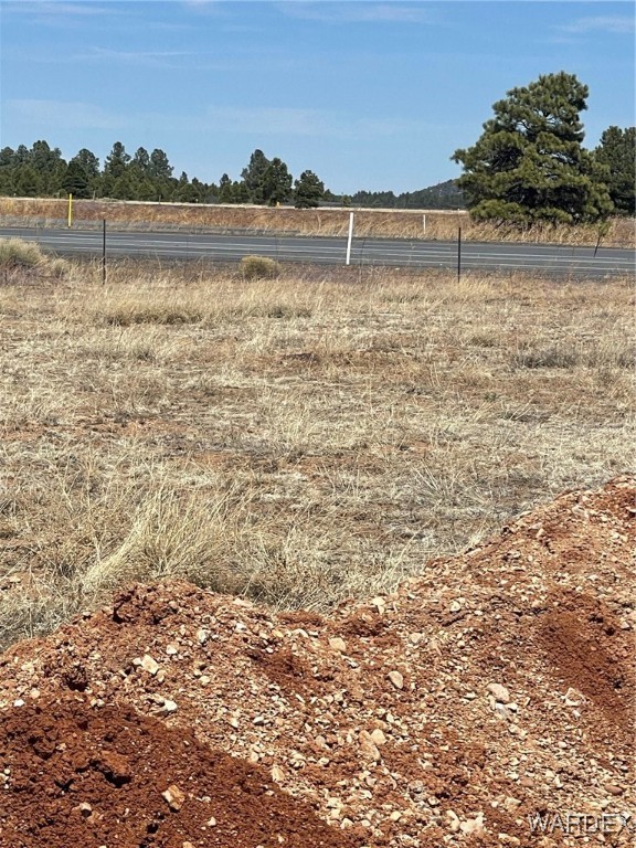 603 Cool Pines Road Williams, AZ 86046 - Photo 11 of 11 a view of lake view and mountain view