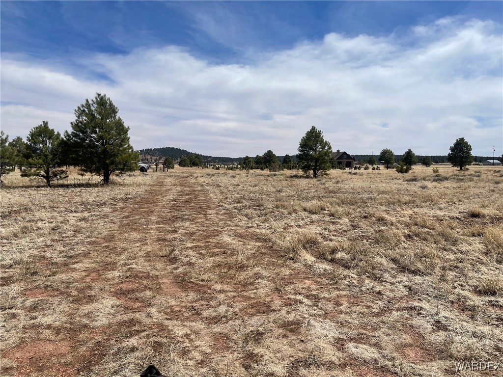 603 Cool Pines Road Williams, AZ 86046 - Photo 2 of 11 a view of a lake with a field