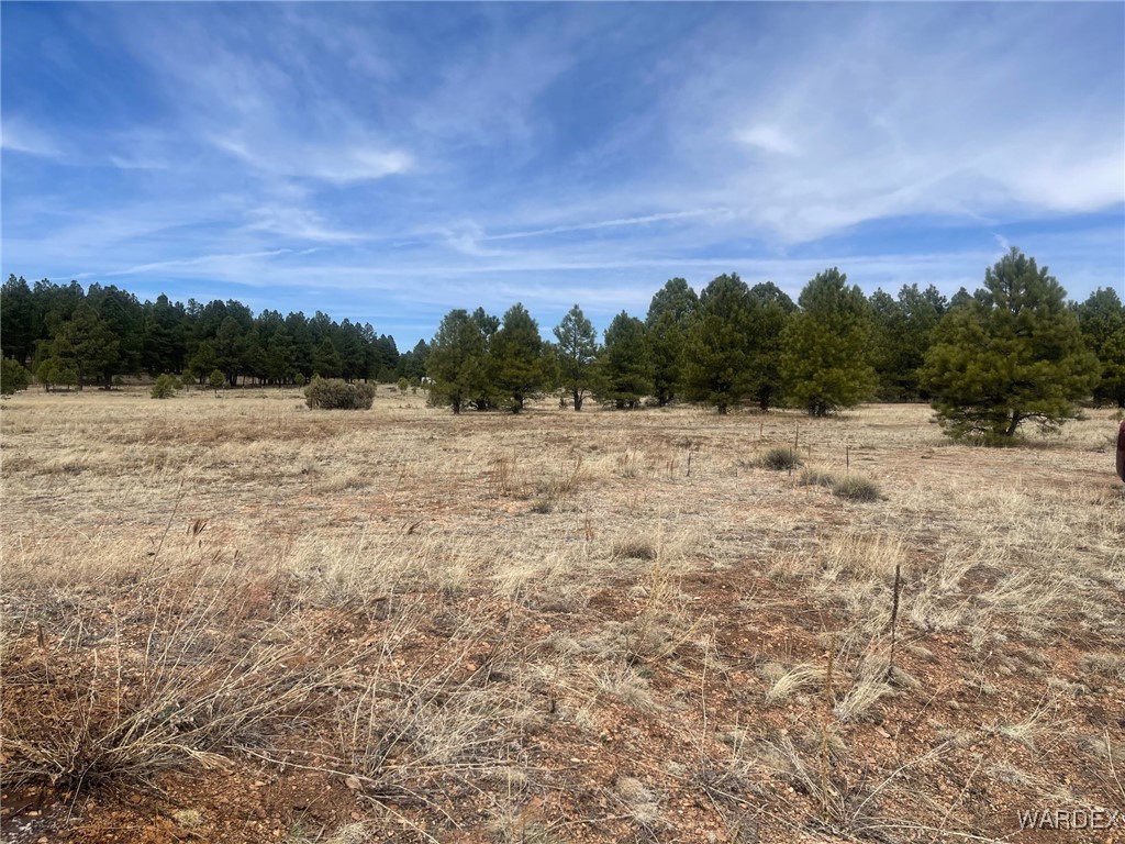 603 Cool Pines Road Williams, AZ 86046 - Photo 3 of 11 a view of mountain with lake view
