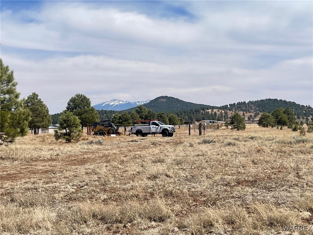 603 Cool Pines Road Williams, AZ 86046 - Photo 4 of 11 a view of a dry yard with wooden fence