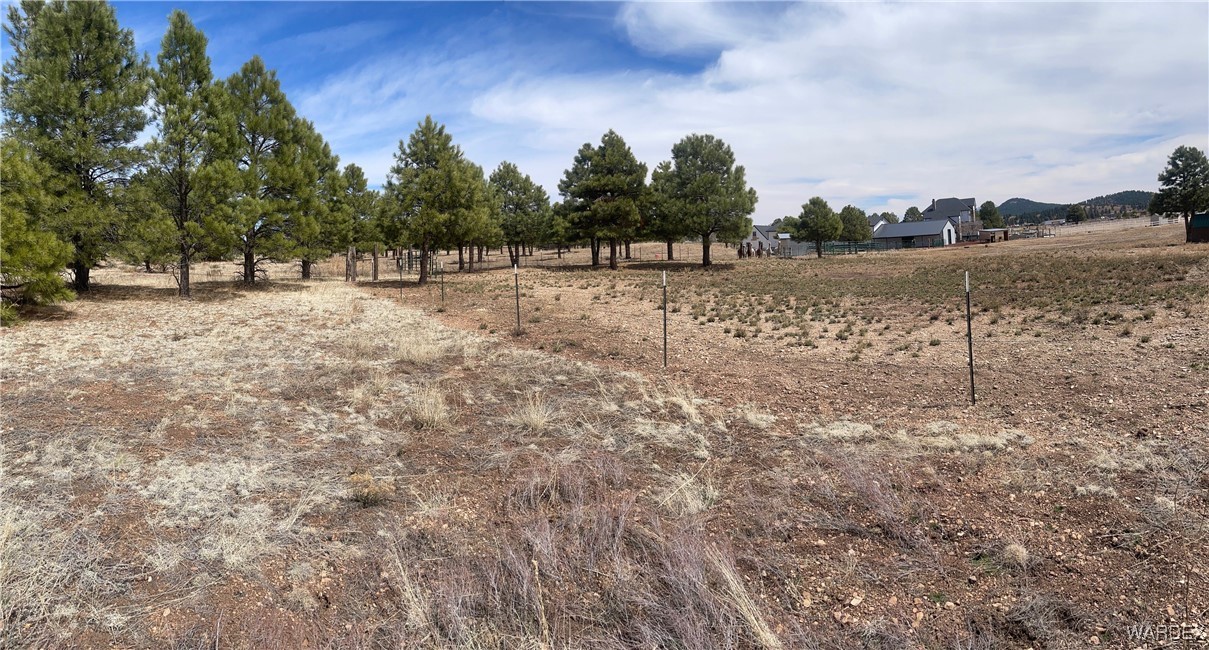 603 Cool Pines Road Williams, AZ 86046 - Photo 5 of 11 a view of lake with outdoor space
