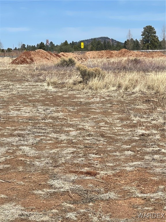 603 Cool Pines Road Williams, AZ 86046 - Photo 6 of 11 a view of ocean view