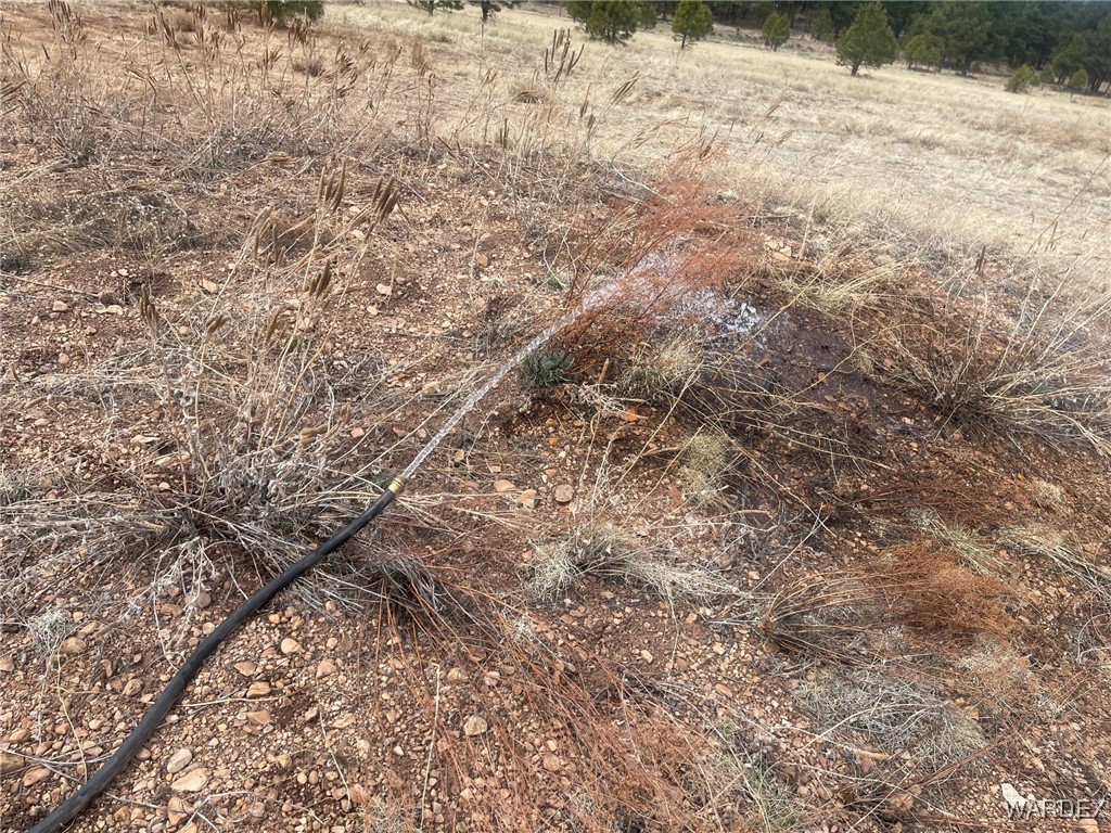 603 Cool Pines Road Williams, AZ 86046 - Photo 9 of 11 a view of a yard with trees