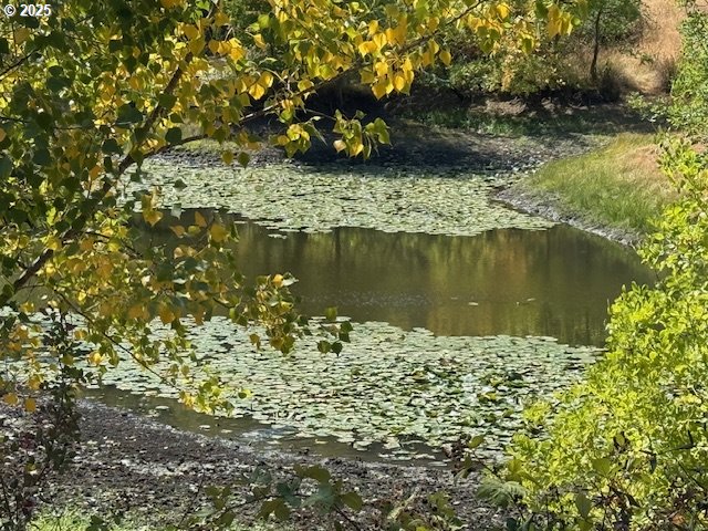 1604 Spring Brook Road Myrtle Creek, OR 97457 - Photo 3 of 43 Pond