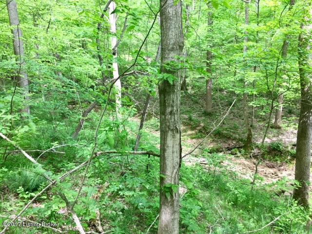 0 Mark Ridge Road Garfield, KY 40140 - Photo 20 of 43 20
