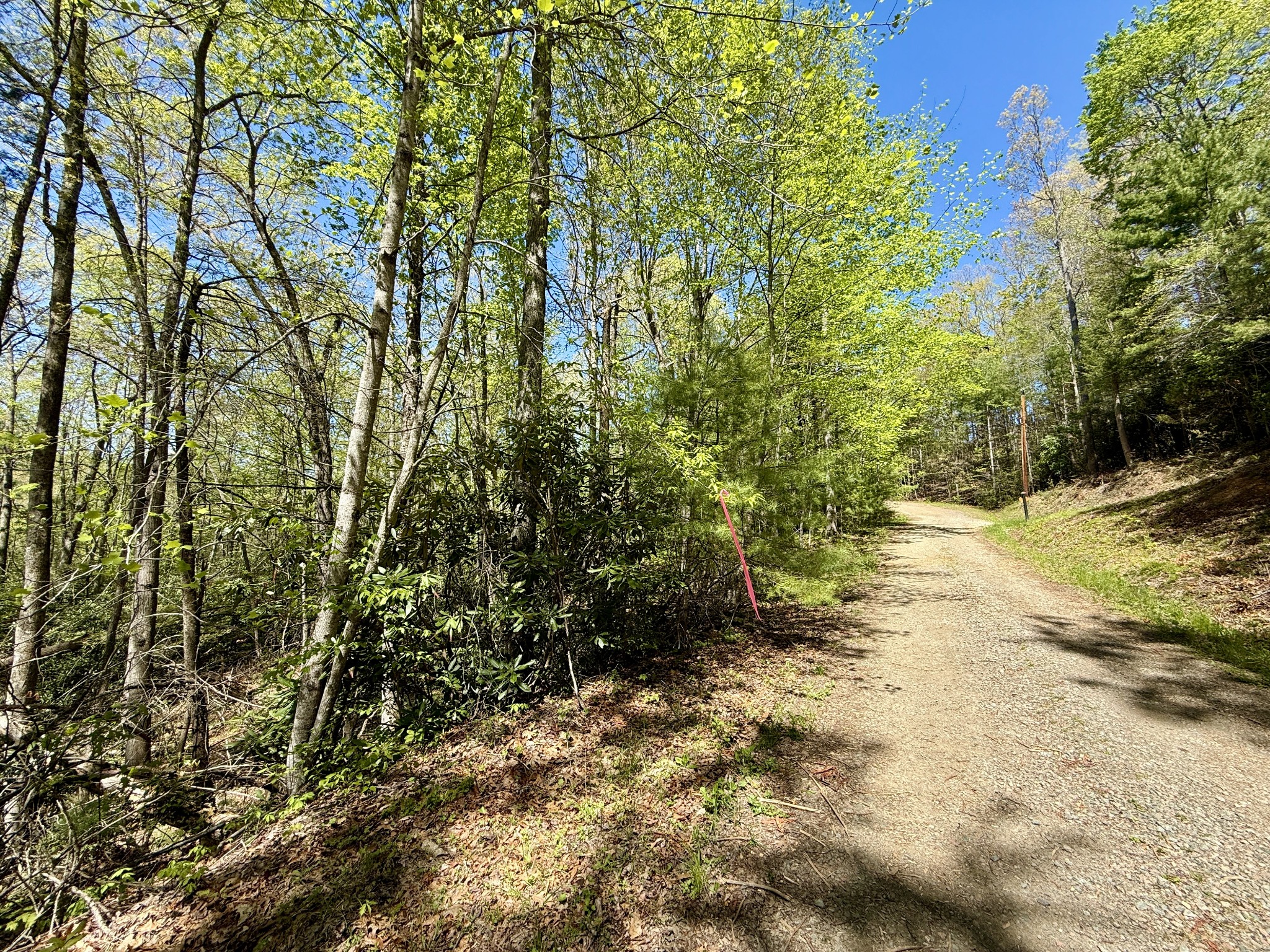 1 Sprucy Ridge Mountain City, TN 37683 - Photo 11 of 15