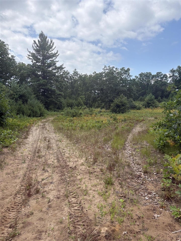 5 5 Mile Road Howard City, MI 49329 - Photo 91 of 99 Gallery Image 91